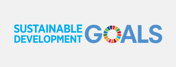 Sustainable Development Goals : SDGs