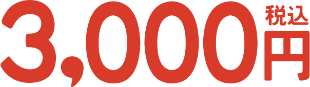3,000円（税込）