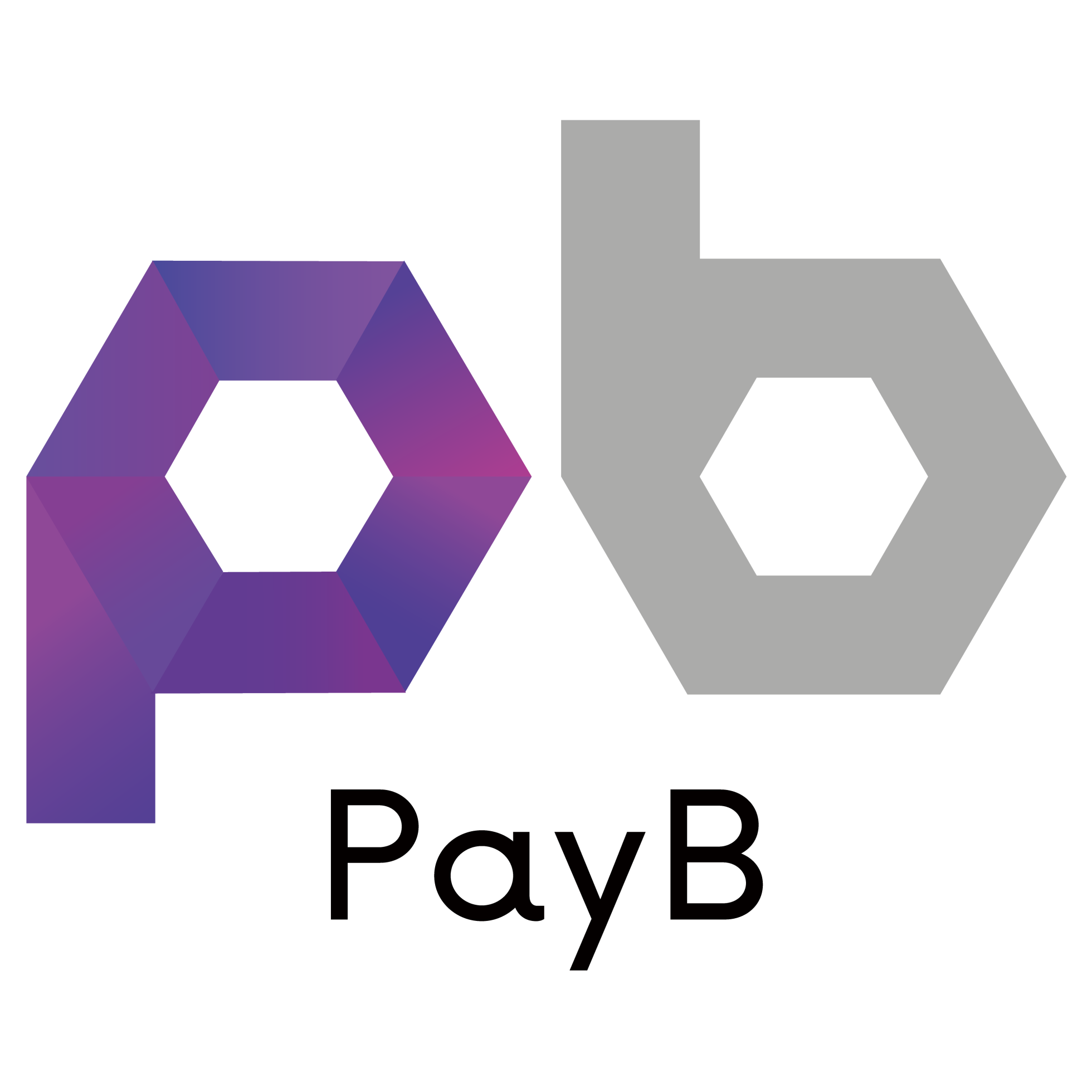 PayBロゴ